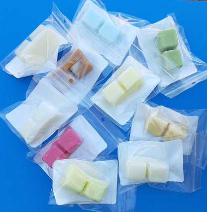 Sample Size Wax Melts - Here for a limited time!