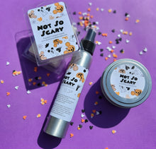 Load image into Gallery viewer, Magical Theme Park Scent Wax Melts