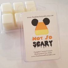 Load image into Gallery viewer, Magical Theme Park Scent Wax Melts
